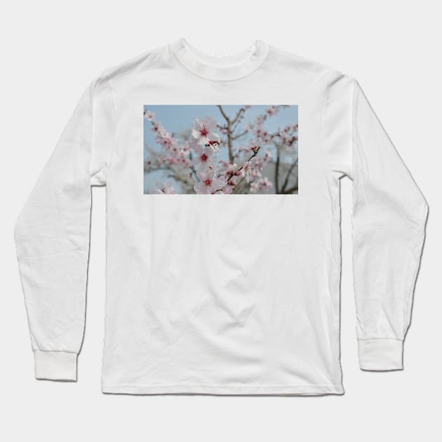 Bee in Almond Flower Long Sleeve T-Shirt by jojobob